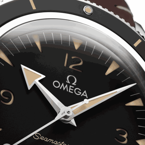 Omega 234.32.41.21.01.001 seamaster 300 lionel meylan horlogerie vevey lausanne montreux