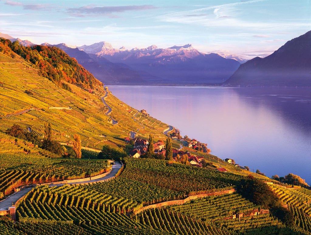 Passion-Lionel-Meylan-Vevey-Jerome_AKE_BEDA_lavaux